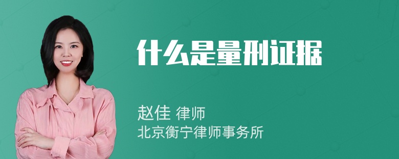 什么是量刑证据