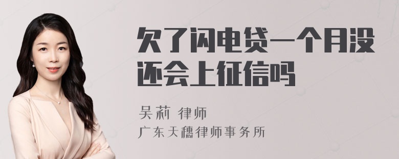 欠了闪电贷一个月没还会上征信吗