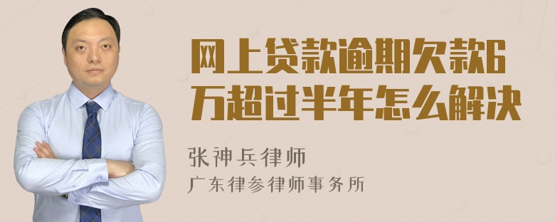 网上贷款逾期欠款6万超过半年怎么解决