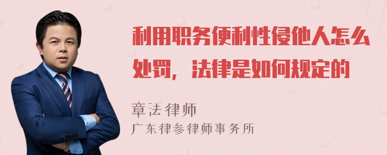 利用职务便利性侵他人怎么处罚，法律是如何规定的