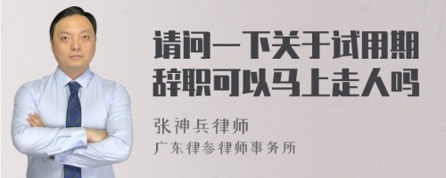 请问一下关于试用期辞职可以马上走人吗