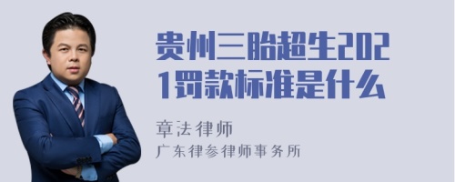 贵州三胎超生2021罚款标准是什么