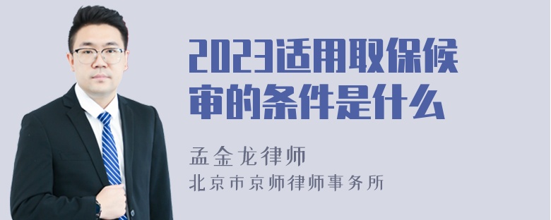 2023适用取保候审的条件是什么