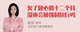 欠了放心借十二个月没还会被强制执行吗