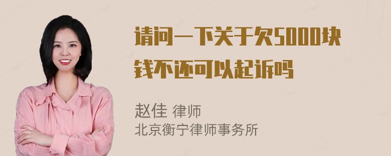 请问一下关于欠5000块钱不还可以起诉吗