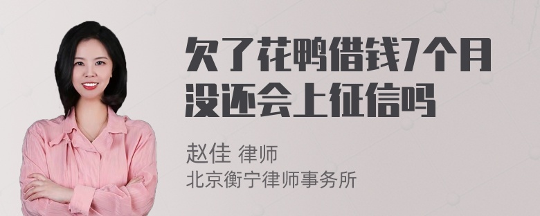 欠了花鸭借钱7个月没还会上征信吗