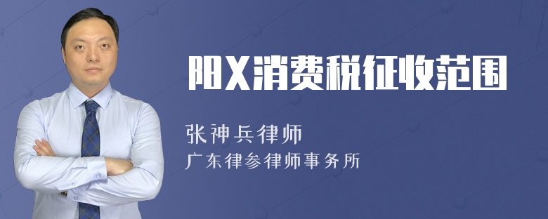 阳X消费税征收范围