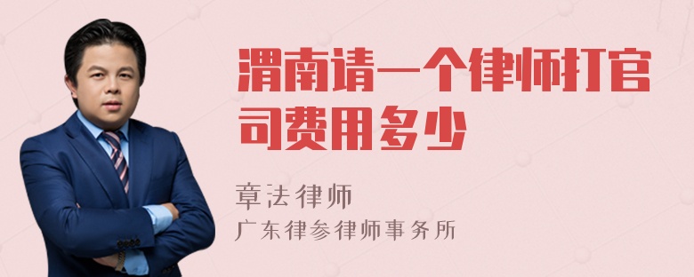 渭南请一个律师打官司费用多少