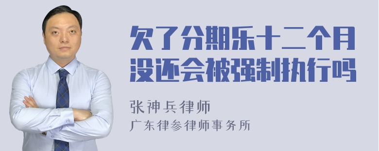 欠了分期乐十二个月没还会被强制执行吗