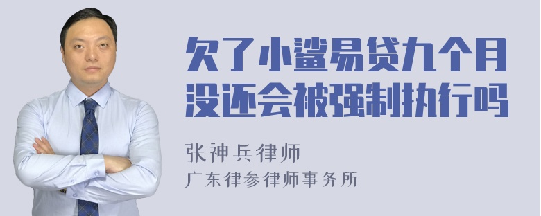 欠了小鲨易贷九个月没还会被强制执行吗