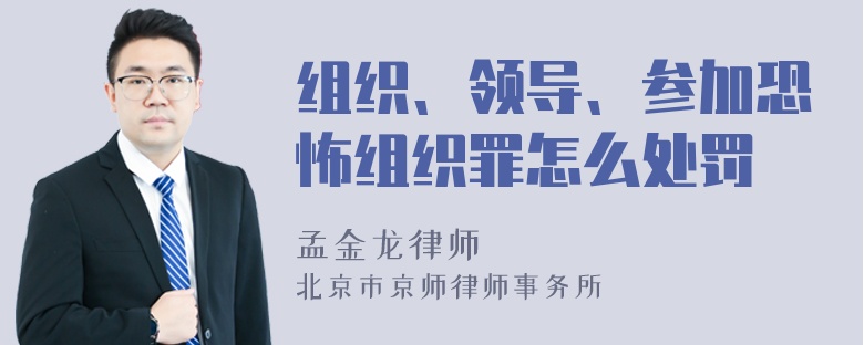 组织、领导、参加恐怖组织罪怎么处罚