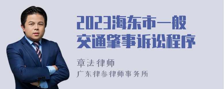 2023海东市一般交通肇事诉讼程序