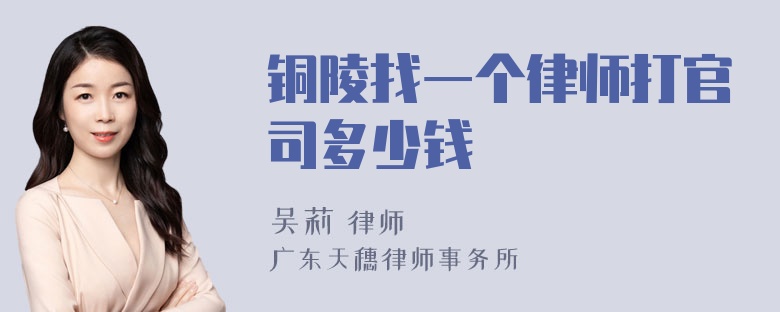 铜陵找一个律师打官司多少钱