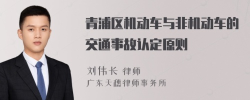 青浦区机动车与非机动车的交通事故认定原则