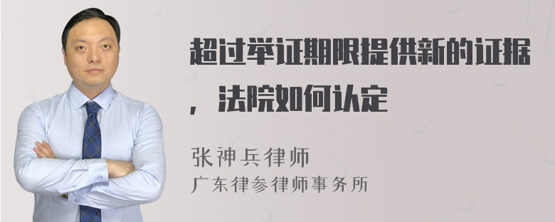 超过举证期限提供新的证据，法院如何认定