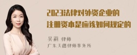 2023法律对外资企业的注册资本是应该如何规定的