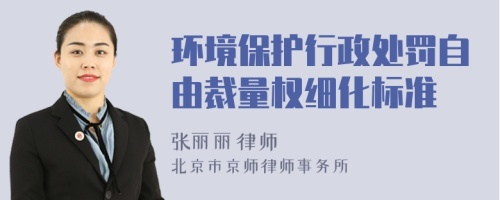 环境保护行政处罚自由裁量权细化标准