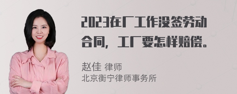 2023在厂工作没签劳动合同，工厂要怎样赔偿。