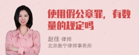 使用假公章罪，有数量的规定吗