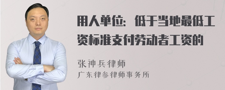 用人单位：低于当地最低工资标准支付劳动者工资的