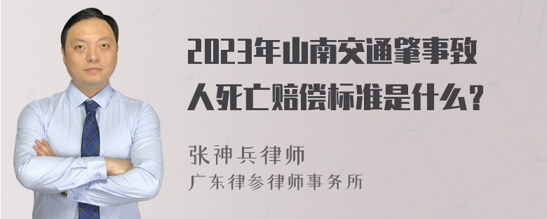 2023年山南交通肇事致人死亡赔偿标准是什么？