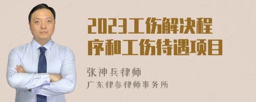 2023工伤解决程序和工伤待遇项目