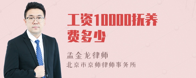 工资10000抚养费多少