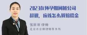 2023在怀孕期间被公司辞退，应该怎么算赔偿金