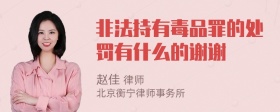 非法持有毒品罪的处罚有什么的谢谢