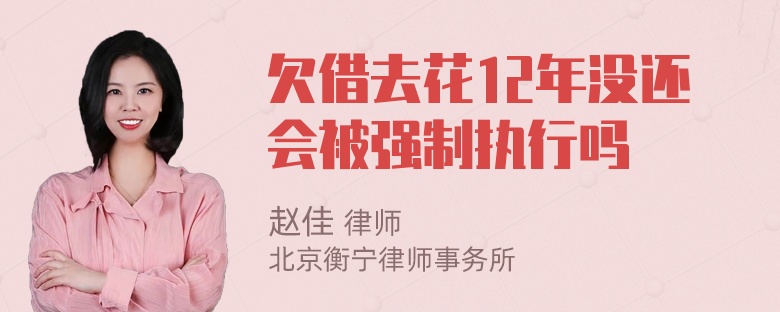 欠借去花12年没还会被强制执行吗