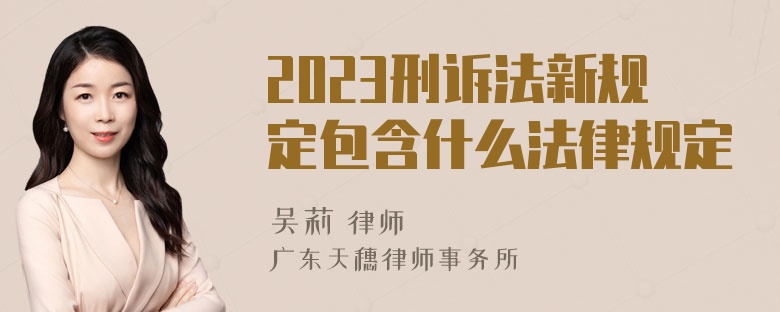 2023刑诉法新规定包含什么法律规定