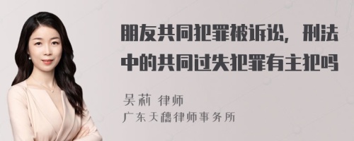 朋友共同犯罪被诉讼，刑法中的共同过失犯罪有主犯吗