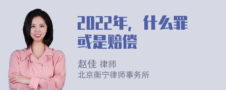 2022年，什么罪或是赔偿