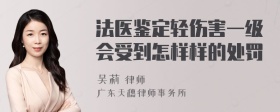 法医鉴定轻伤害一级会受到怎样样的处罚