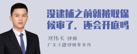 没逮捕之前就被取保候审了．还会开庭吗