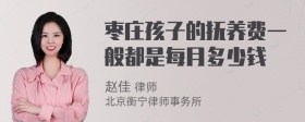 枣庄孩子的抚养费一般都是每月多少钱