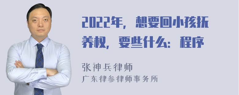 2022年，想要回小孩抚养权，要些什么：程序