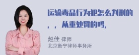 运输毒品行为犯怎么判刑的，，从重处罚的吗，