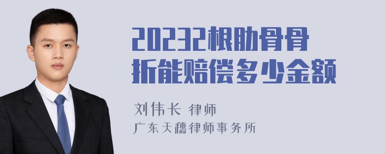 20232根肋骨骨折能赔偿多少金额