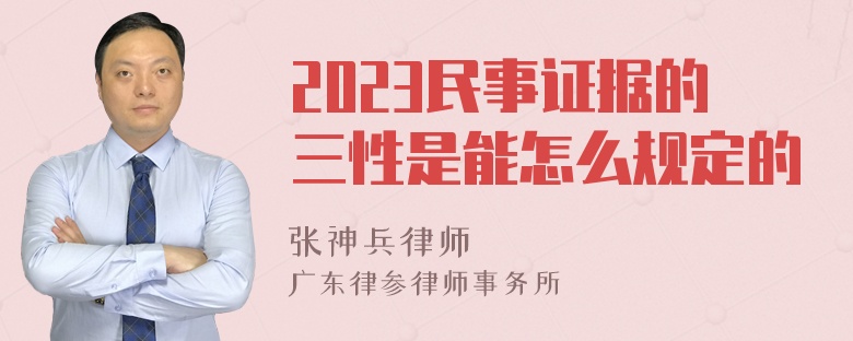 2023民事证据的三性是能怎么规定的