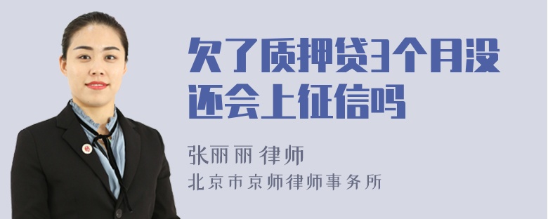 欠了质押贷3个月没还会上征信吗