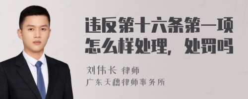 违反第十六条第一项怎么样处理，处罚吗