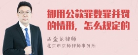 挪用公款罪数罪并罚的情形，怎么规定的