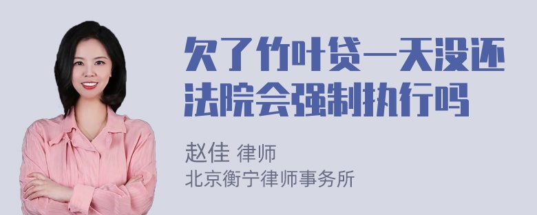 欠了竹叶贷一天没还法院会强制执行吗