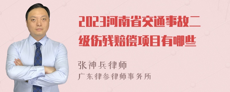 2023河南省交通事故二级伤残赔偿项目有哪些