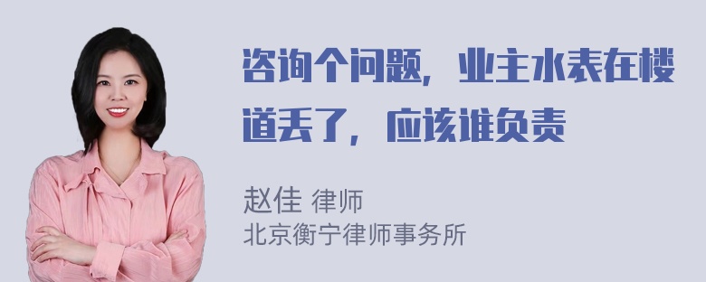 咨询个问题，业主水表在楼道丢了，应该谁负责