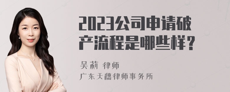 2023公司申请破产流程是哪些样？