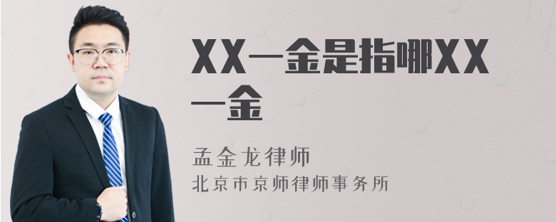 XX一金是指哪XX一金