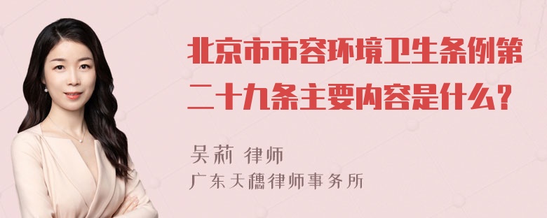 北京市市容环境卫生条例第二十九条主要内容是什么？