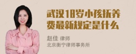 武汉18岁小孩抚养费最新规定是什么